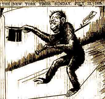the scopes monkey trial